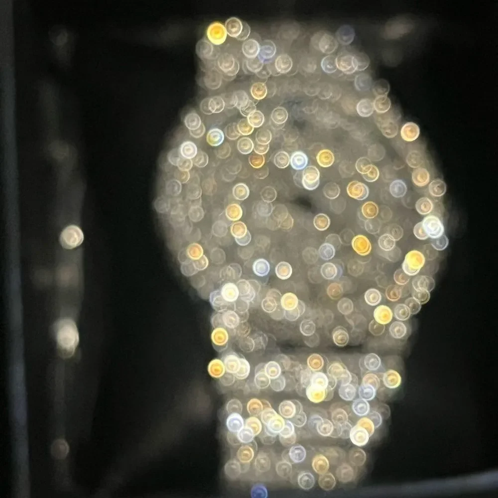 VVS Bustdown Simulated Diamond Stainless Steel Iced Out Watch Luxury HipHop